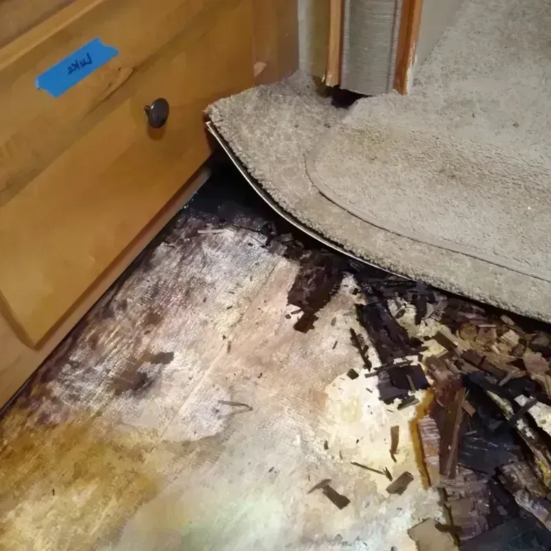 Wood Floor Water Damage in Roseland, NJ